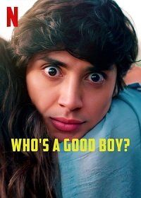 Смотреть «Кто хороший мальчик?» онлайн фильм в хорошем качестве