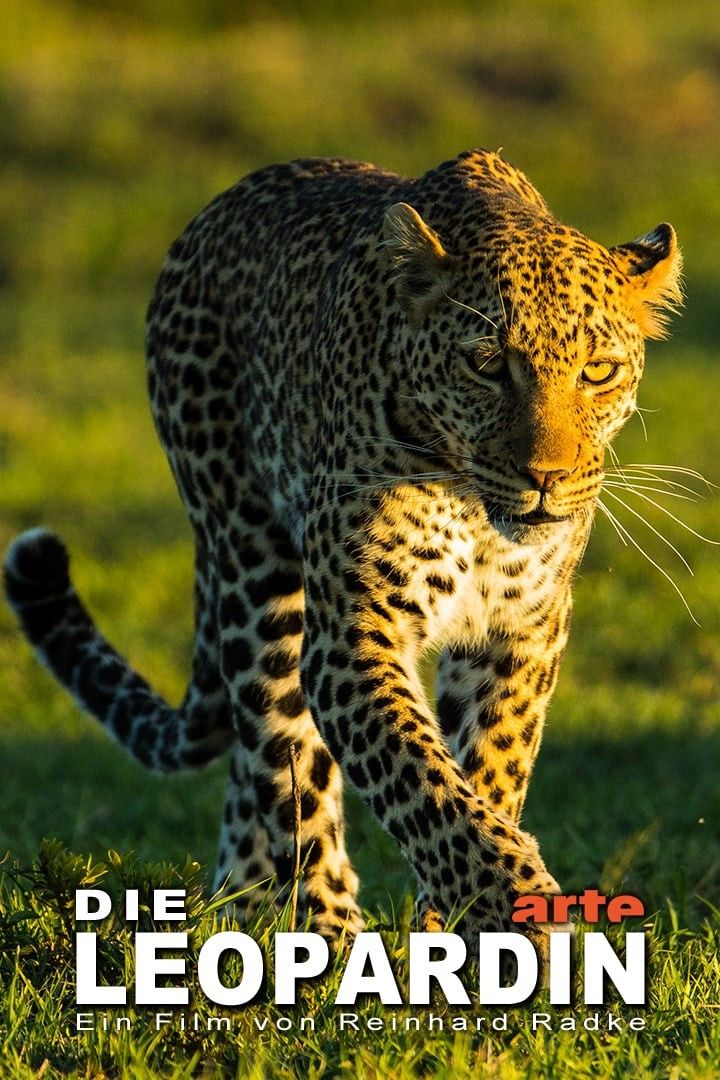 Смотреть «Королева леопардов» онлайн сериал в хорошем качестве