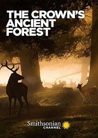 Королевский лес (2021)