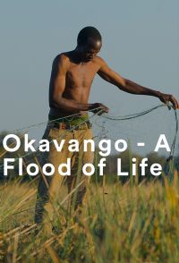 Смотреть «Окаванго. Поток жизни» онлайн фильм в хорошем качестве
